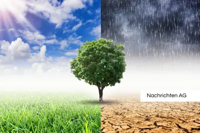 München Laim: Umweltschutz mit Wasserbank – Grünflächen für die Zukunft!