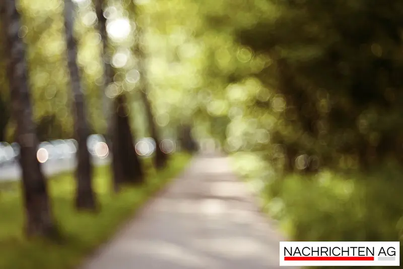 Technische Panne! Riesenwindrad in Moosach steht still - was nun?