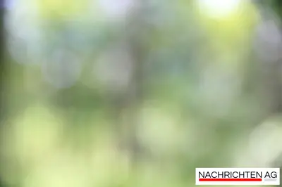 Vor Gericht: Stereotype und Mythen im Fokus des bedeutenden Prozesses!