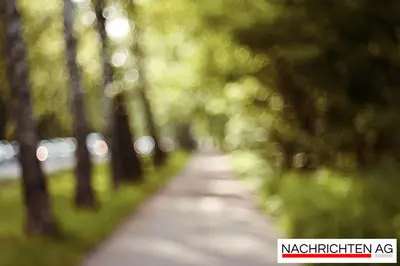 Digitale Passbilder in München: Neuer Ausweis, neue Regeln ab Mai 2025!